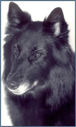 tblcontent content bild 28