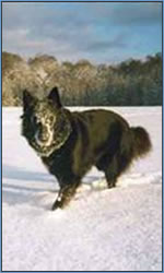 tblcontent content bild 29