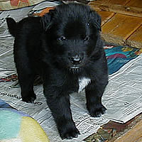 tblcontent content bild2