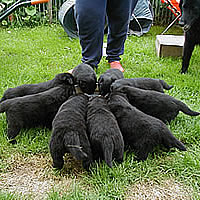 tblcontent content bild3