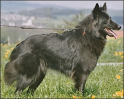 tblcontent content bild 1