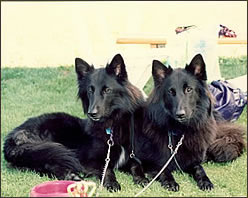 tblcontent content bild 3