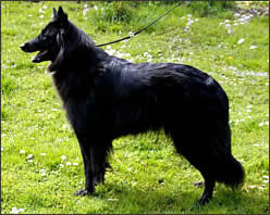 tblcontent content bild 4