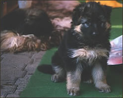 tblcontent content bild 43