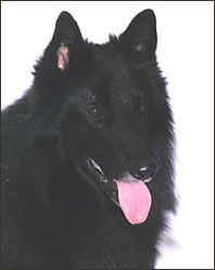 tblcontent content bild 44